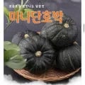 제주 미니단호박 1kg
