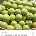 매실 대 사이즈 30mm 5kg