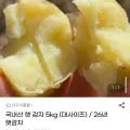 국내산 햇 감자 5kg (대사이즈) / 26년 햇 감자 (9,270원/무배)