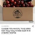 생 체리 9.5R 800g