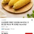 고흥 초당 옥수수 특 10개입 14cm 이상
