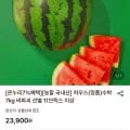 하우스 수박 7kg
