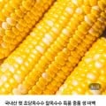 국내산 햇 초당옥수수 6cm 내외 특품 10개 (14,600원/무료)1