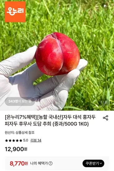 대석 홍자두 중과 500g