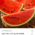 고당도 수박 7kg 내외