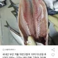 국내산 자반고등어 10미 대짜 구이용 (2,560원/무배)2