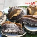 완도 특대활전복 1kg (9-11미) (20,900원/무료)