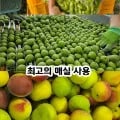 쪼갠매실 깐매실 3kg