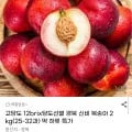 신비복숭아 2kg