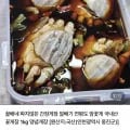꿀배네 알배기 간장게장 (29,640원/3,000원)