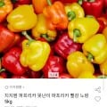 파프리카 빨강 노랑 5kg