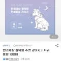 절약형 수컷 강아지기저귀 중형 100매 (22,020원/무배)