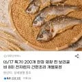 전자렌지 조리가능 영광 보리굴비 8미 kg 내외 (29,750원/무배)1