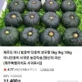 제주 미니 단호박 로열과 2kg