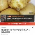 햇감자 3kg