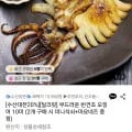 부드러운 반건조 오징어 10미 700g (2개 구매시 미니석쇠+마요네즈 증정) (15,960원/무료)