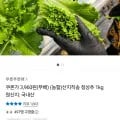청상추 1kg
