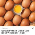 난각번호 1번 무항생제 유기농 유정란 대란 40구