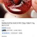 워싱턴 생체리 9.5R 750g 내외