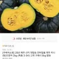 제주 미니 단호박 2kg
