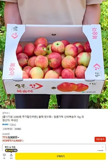 신비복숭아 5kg 소과 (6,900원/무료)1