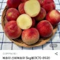 신비복숭아 5kg벌크(70-89과) (21,750원/무료)