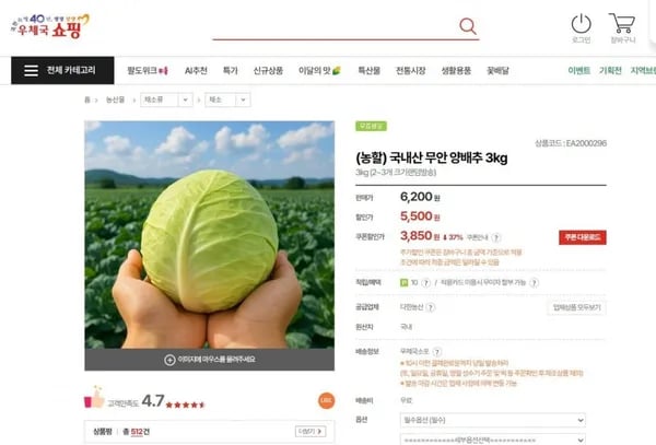 국내산 무안 양배추 3kg(3,850/무료)
