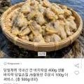 국내산 깐 바지락살 400g 생물 바지락 당일손질 6월 주문시 100g 추가 총 500g내외