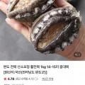 완도 활전복 14-15미 1kg