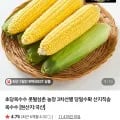 초당옥수수/애플초당옥수수 특품 10개  (15,900원/무배)