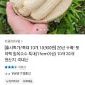햇 미백 찰옥수수특대 10개 10,900원/무배