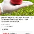 신비복숭아 2kg (24-28과)