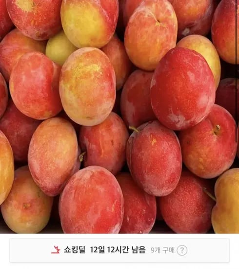 자두 1kg 실중량 (티멤버십7,680원/무료)