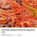 선주 직송 프리미엄 자숙 박달홍게 (19,800원/무배)