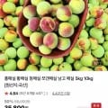 홍매실 5kg (33,800원/무배)