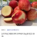 신비복숭아 2kg 중과(22-26과) (페이코 15,510원/무료)