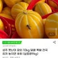 성주 못난이 참외 10kg (실중량 9kg)