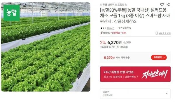 샐러드용 채소 모듬 1kg 외 3종 이상