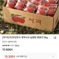 세척사과 실중량 5kg