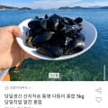 통영 다듬이 홍합 5kg