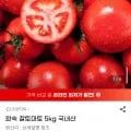 완숙 찰토마토 국내산 5kg