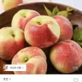 대극천 반납작 복숭아 1kg