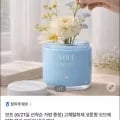 보프 고체탈취제 코튼향 오브제