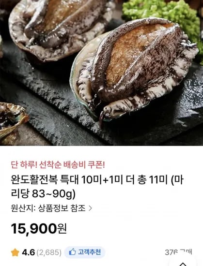 완도활전복 특대 0미 1미 총 11미 1