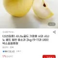 시나노골드 가정용 사과 일반 중소과 2kg (9-11과 내외)