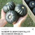 미니밤호박 단호박 5kg