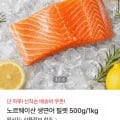 노르웨이산 생연어 필렛 500g