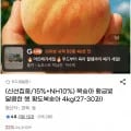 황도복숭아 4kg 27-30과