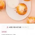 햇 양파 5kg 특상
