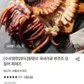 원양산 반건조 오징어 피데기 10미 700g
